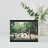 Florida Briefkaart (Staand voorkant)