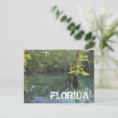 FLORIDA BRIEFKAART (Staand voorkant)