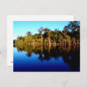 Florida Briefkaart (Voorkant / Achterkant)