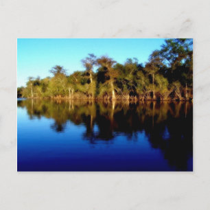 Florida Briefkaart