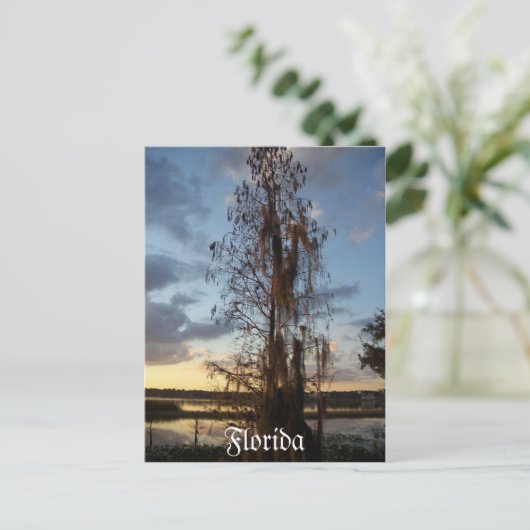 Florida Briefkaart (Staand voorkant)