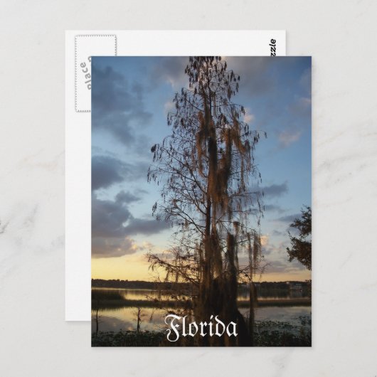 Florida Briefkaart (Voorkant / Achterkant)