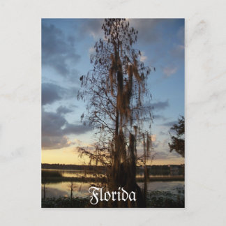 Florida Briefkaart