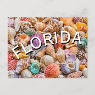 Florida briefkaart