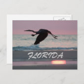 FLORIDA BRIEFKAART (Voorkant / Achterkant)