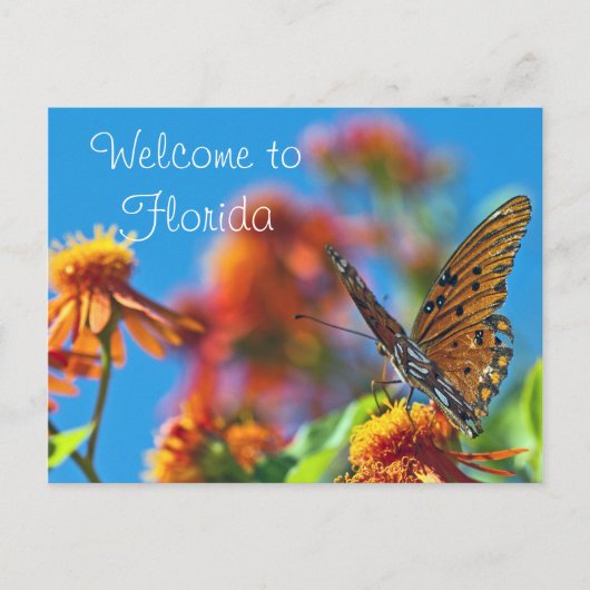 Florida Butterly Briefkaart (Voorkant)