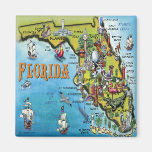 Florida Cartoon Map Magneet