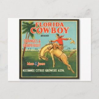 Florida Cowboy Briefkaart