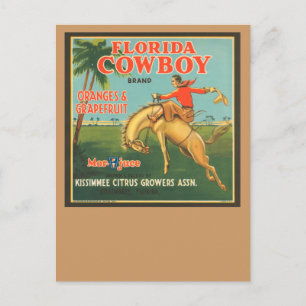 Florida Cowboy Briefkaart