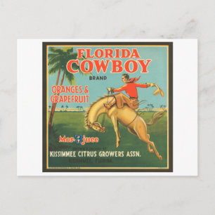 Florida Cowboy Kissimmee Citrus Growers Cr Briefkaart