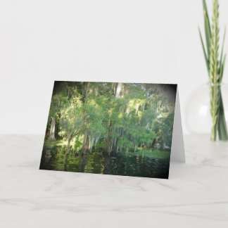 Florida Cypress Trees Note Kaart - Blank