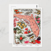 Florida de Everglade State Map Briefkaart (Voorkant / Achterkant)