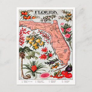 Florida de Everglade State Map Briefkaart