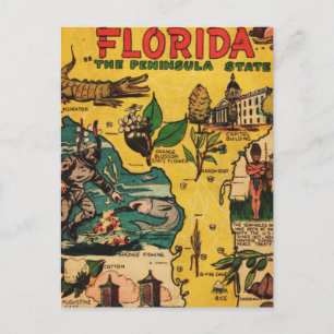 Florida De staat op het schiereiland Briefkaart