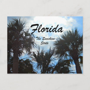 Florida, de zonnige staat briefkaart