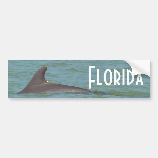 Florida Dolphin bumper sticker (Voorkant)