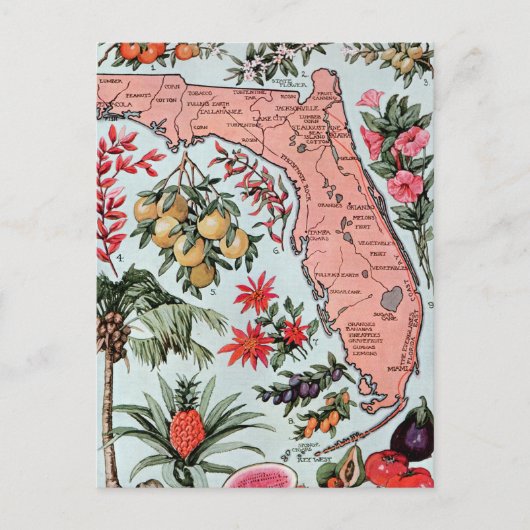  Florida Everglade State Fruit and Flowers Briefkaart (Voorkant)