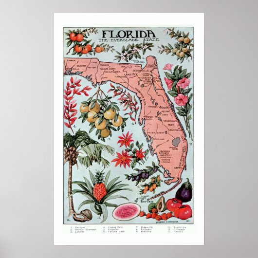  Florida Everglade State Fruit and Flowers Poster (Voorkant)