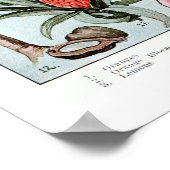  Florida Everglade State Fruit and Flowers Poster (Hoek)