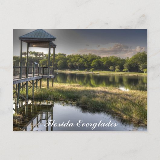 Florida Everglades Briefkaart (Voorkant)