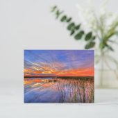 Florida Everglades Briefkaart (Staand voorkant)