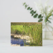 Florida Everglades Briefkaart (Staand voorkant)