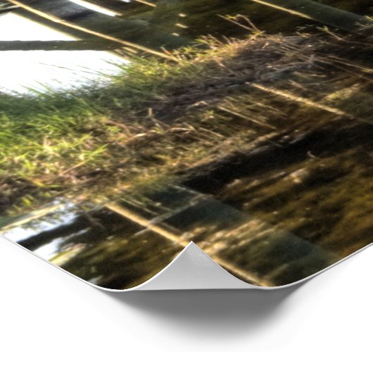 Florida Everglades Poster (Hoek)