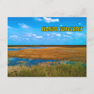 Florida Everglades Zaaggras, Lucht & Weerkaatsing Briefkaart
