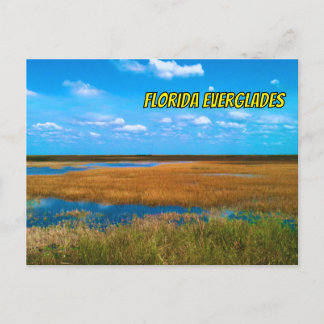 Florida Everglades Zaaggras, Lucht & Weerkaatsing Briefkaart