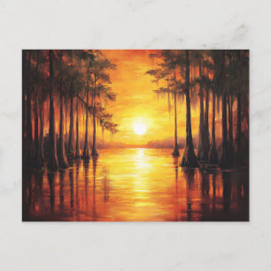 Florida Everglades Zonsondergang Landschap Schilde Briefkaart