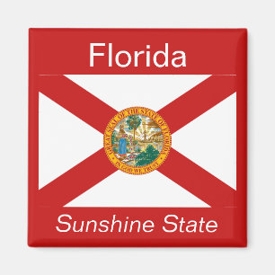 Florida Flag Magnet Magneet
