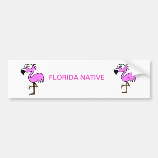 Florida Flamingo Bumpersticker (Voorkant)