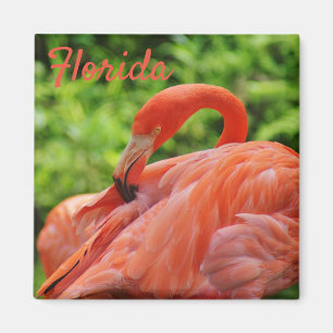 Florida Flamingo Magnet Square Magneet