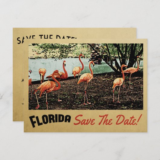 Florida Flamingo sparen de Datum  Briefkaarten (Voorkant / Achterkant)