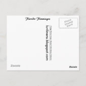 Florida, Flamingo's Briefkaart (Achterkant)