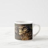 Florida, Fort Myers. Bindende boompenkoppels Espresso Kop (Rechts)