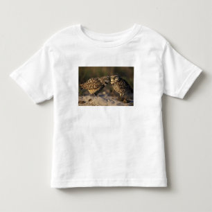 Florida, Fort Myers. Holenuil paarvorming Kinder Shirts