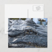 Florida Gator briefkaart (Voorkant / Achterkant)