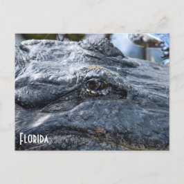 Florida Gator briefkaart