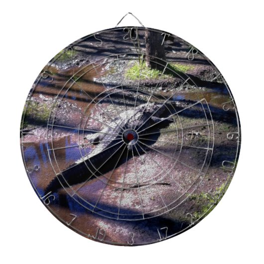 Florida Gator Dartbord (Voorkant)