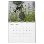 FLORIDA GREAT BLUE HERON KALENDER (Feb 2026)