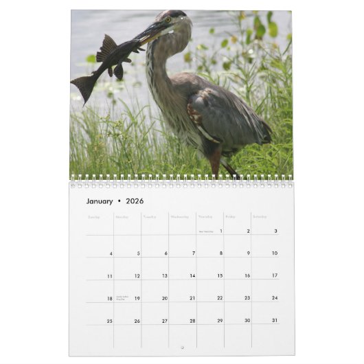 FLORIDA GREAT BLUE HERON KALENDER (Jan 2026)