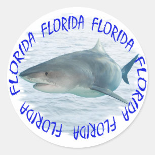 Florida haai ronde sticker