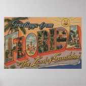 Florida - Het land van de zon Poster (Voorkant)