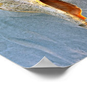 Florida Horse Conch Poster (Hoek)