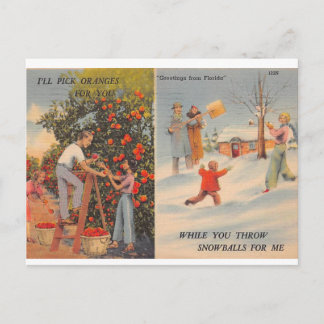 Florida in de winter briefkaart