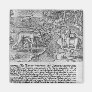 Florida Indiërs jagen op herten Magneet