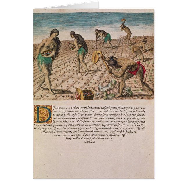 Florida Indiërs planten maïs (Voorkant)