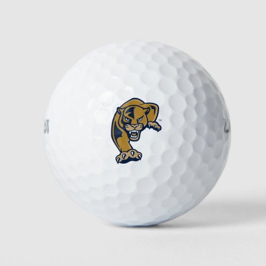 Florida International University Panthers Golfballen (Voorkant)