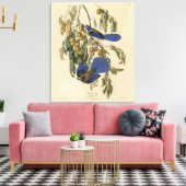 Florida Jay (Scrub-Jay) Audubon's vogels in Amerik Canvas Afdruk (Insitu (Woonkamer))